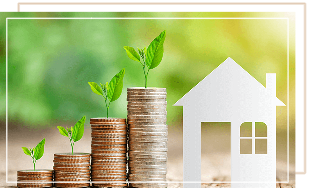 Common Mistakes Beginners Make